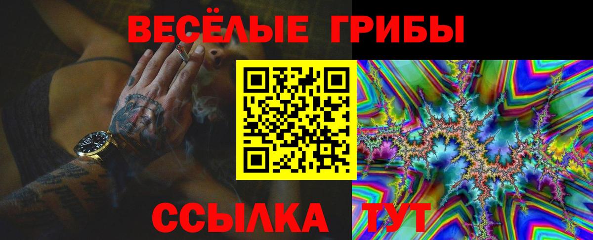 Серов  Галлюциногенные грибы мицелий  Вход с VPN 
